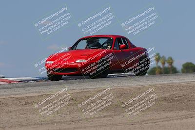 media/Oct-04-2025-OnGrid (Sat) [[44bd565ffa]]/Green Group/Grapevine/